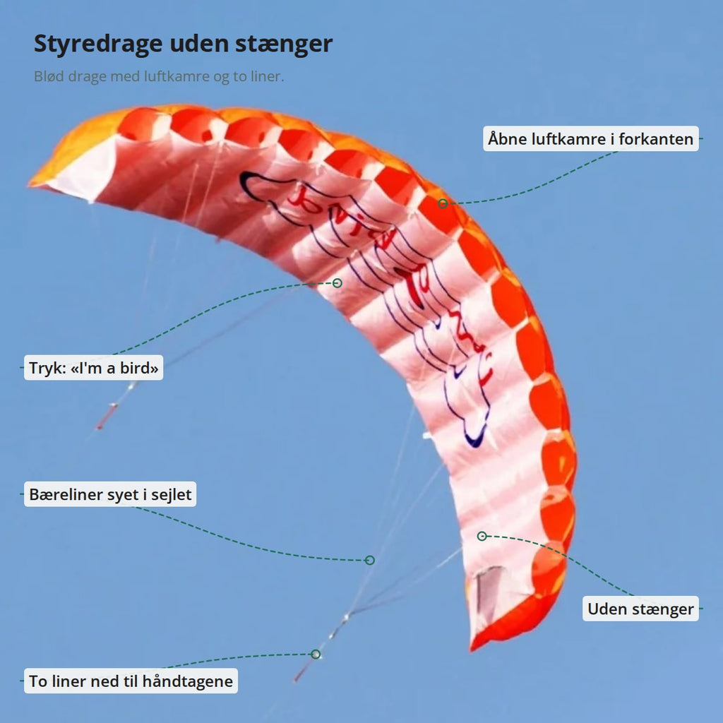 Orange styredrage med markeringer: åbne luftkamre, sejl uden stænger, bæreliner, to liner ned til håndtagene og trykket «I'm a bird»