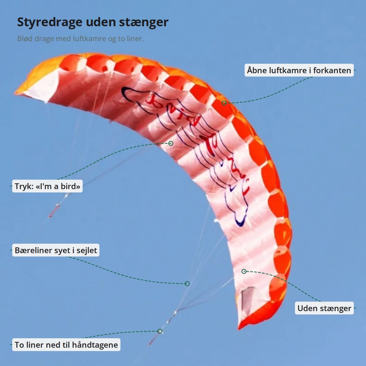 Orange styredrage med markeringer: åbne luftkamre, sejl uden stænger, bæreliner, to liner ned til håndtagene og trykket «I'm a bird»