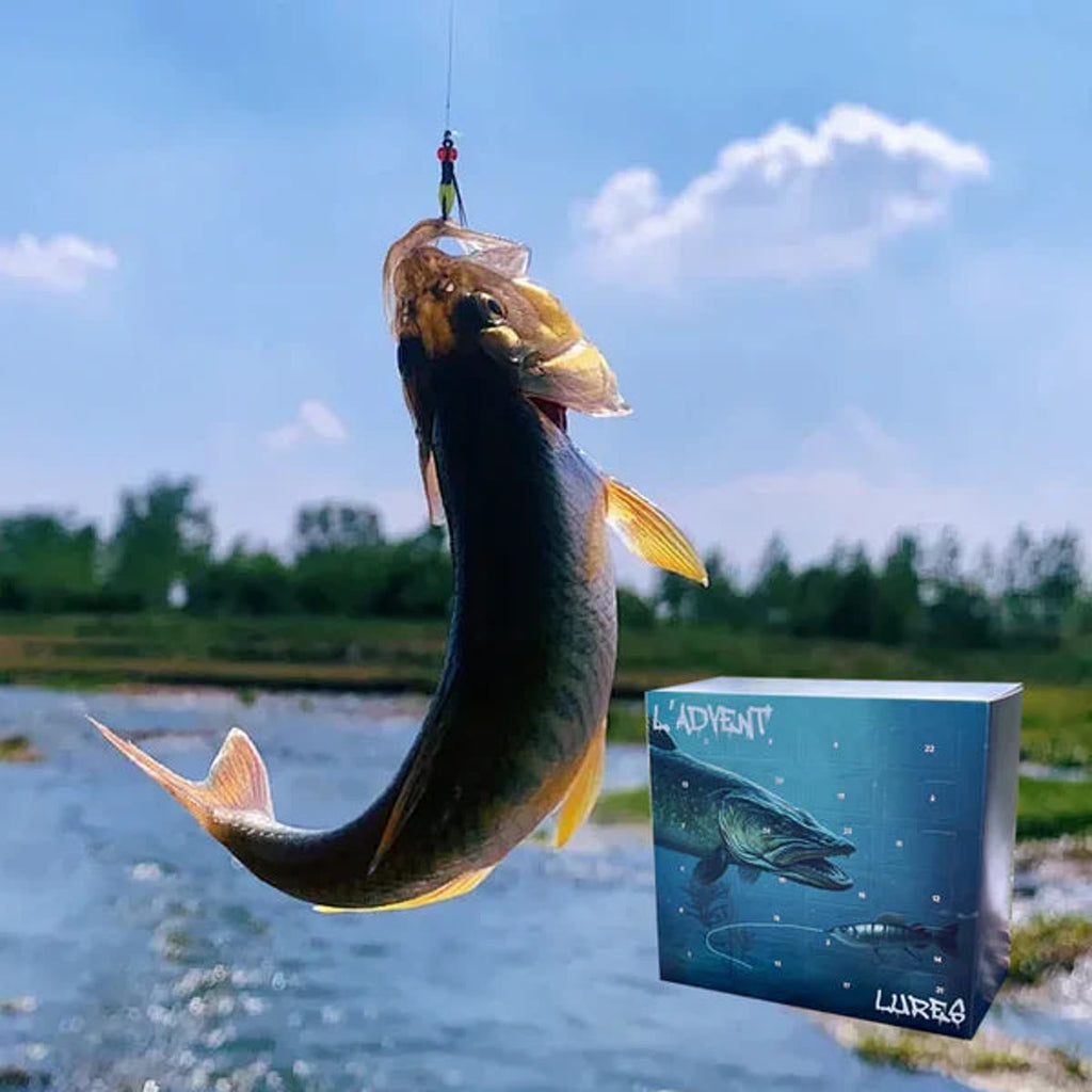 En fisk på krogen ved åbredden, med fiske-julekalenderen ved siden af