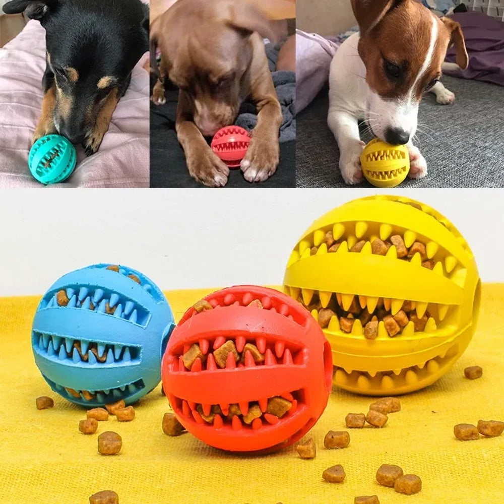 Hunde, der leger med godbidsbolde, og tre bolde fyldt med tørfoder