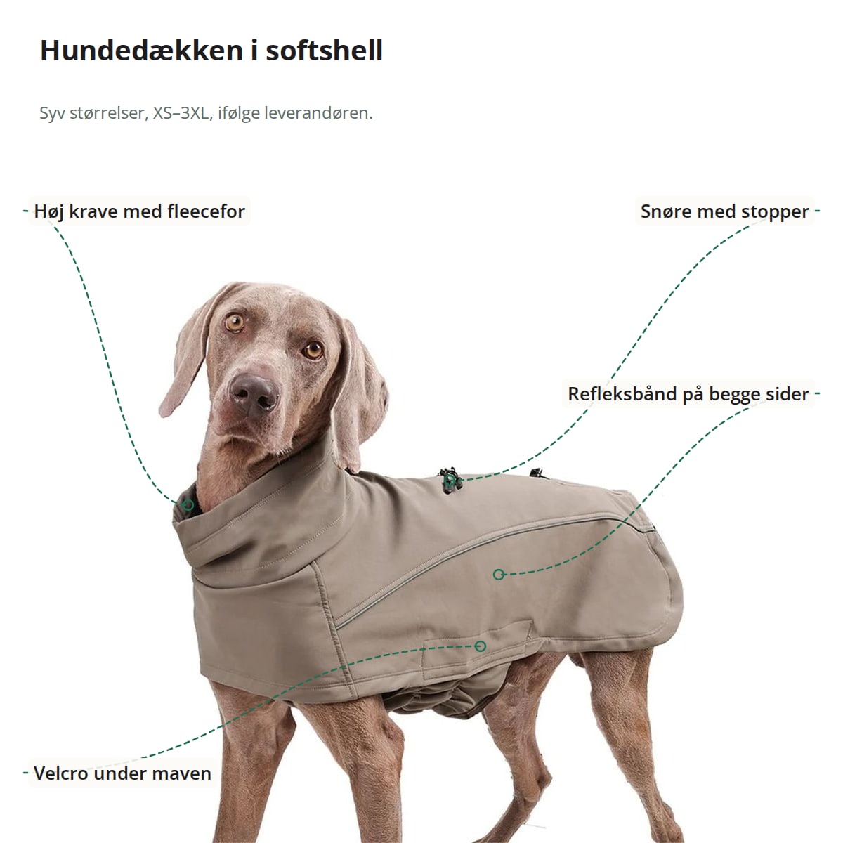Hund i hundedækkenet med markeringer: høj krave med fleecefor, snøre med stopper, refleksbånd på begge sider og velcro under maven