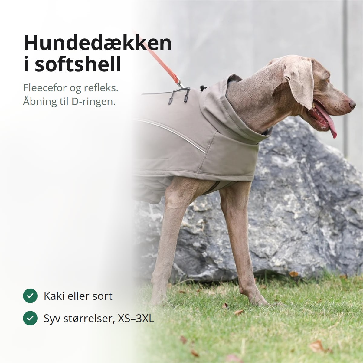 Hund i et kakifarvet hundedækken i softshell på en græsplæne, med teksten: kaki eller sort, syv størrelser XS–3XL