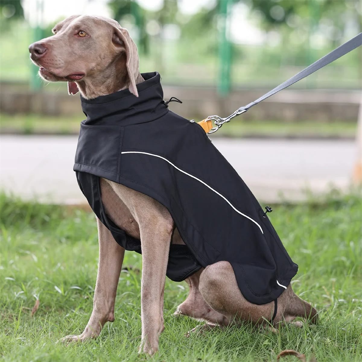 Hund i sort hundedækken med refleksbånd, snoren fastgjort gennem åbningen på ryggen