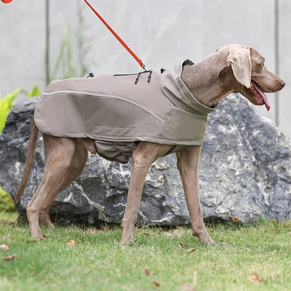 Hund i kakifarvet hundedækken set fra siden foran en sten, med refleksbånd langs siden
