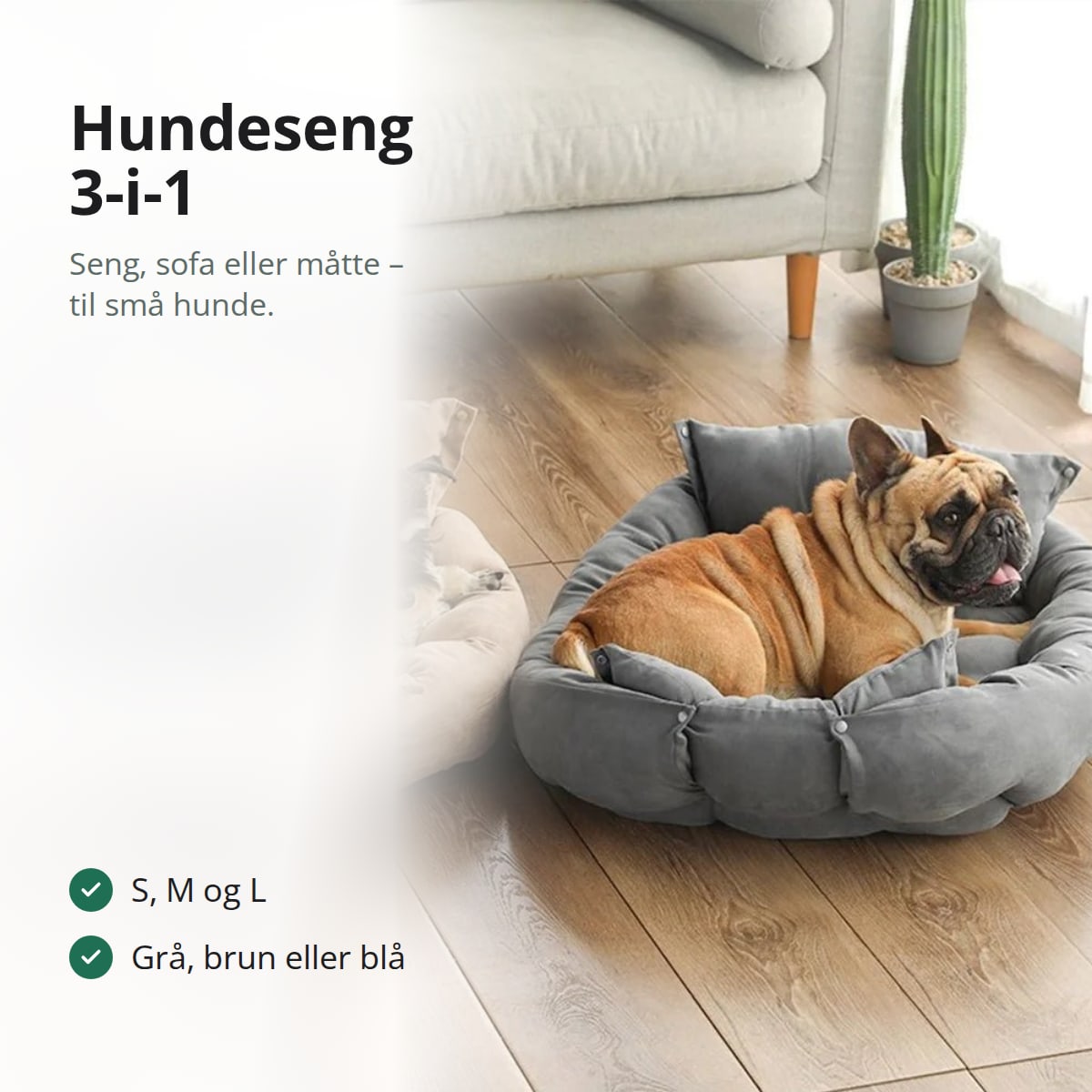 En fransk bulldog og en schnauzer i hver deres bløde hundeseng, med tekst: S, M og L, grå, brun eller blå