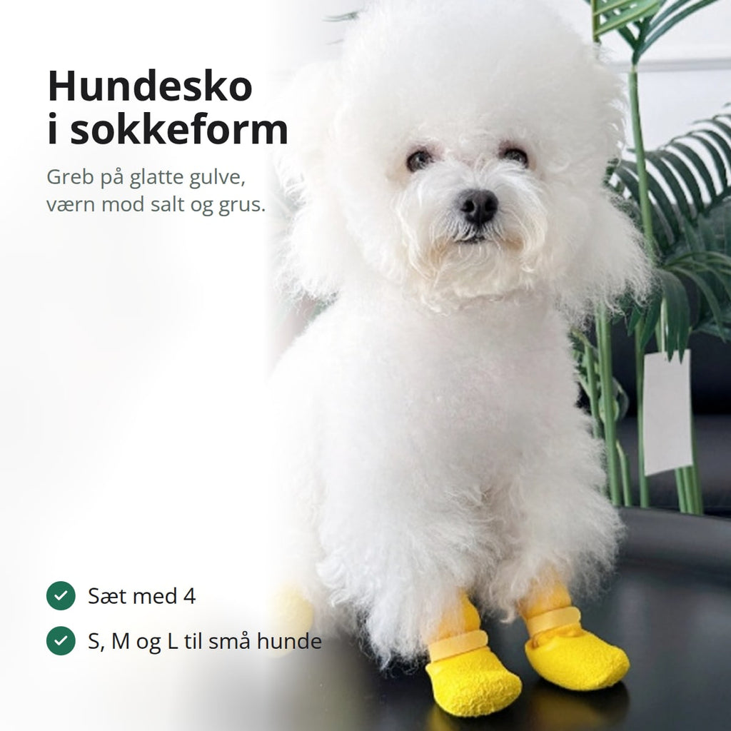 Lille hvid hund, der sidder med gule hundesokker på alle fire poter
