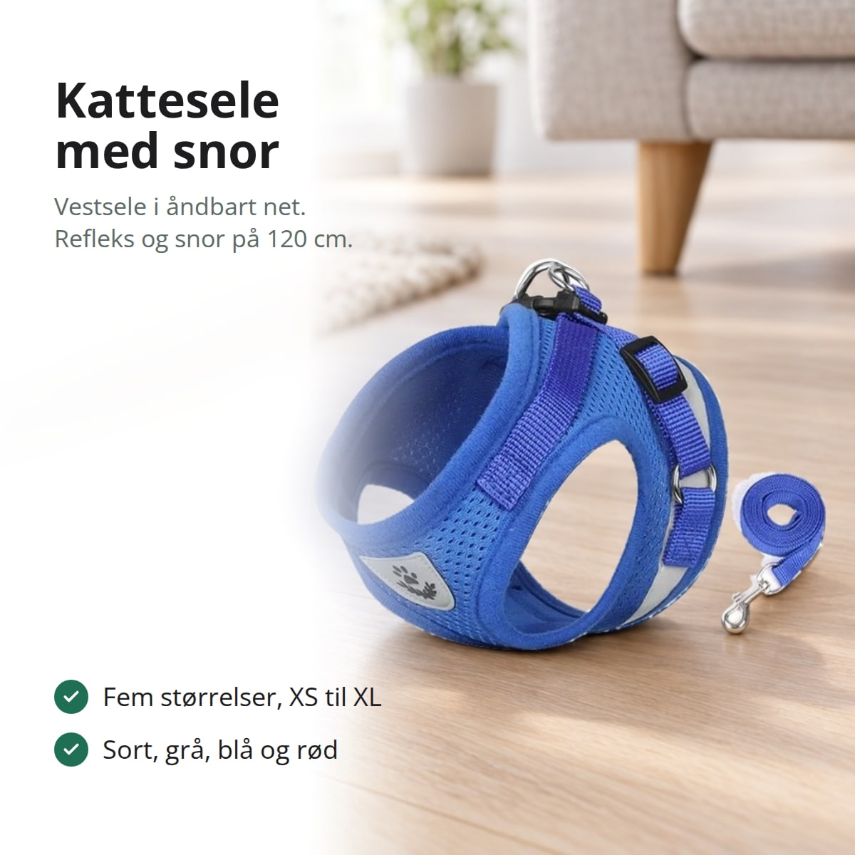 Blå kattesele i net med refleksstribe og snor på et trægulv i stuen