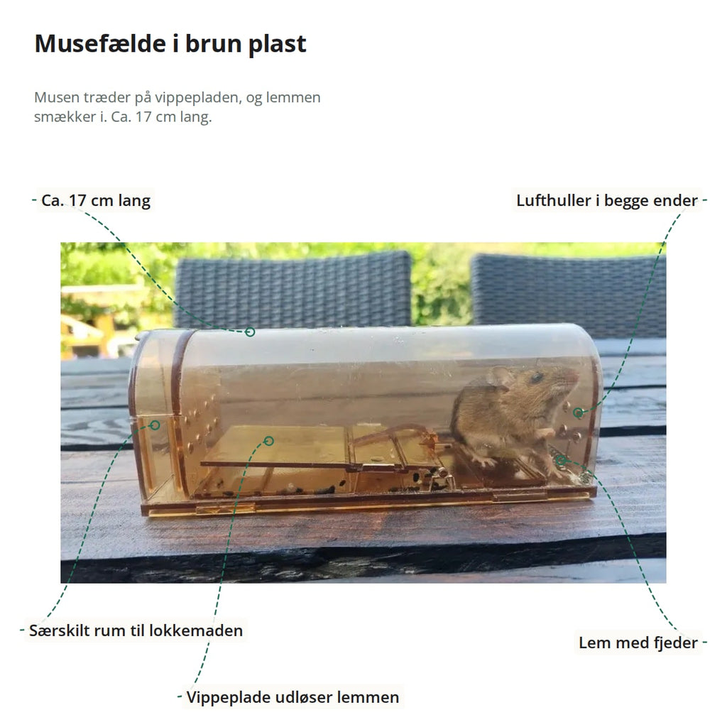 Musefælden med markeringer: særskilt rum til lokkemaden, vippeplade, lem med fjeder, lufthuller i begge ender og en længde på ca. 17 cm