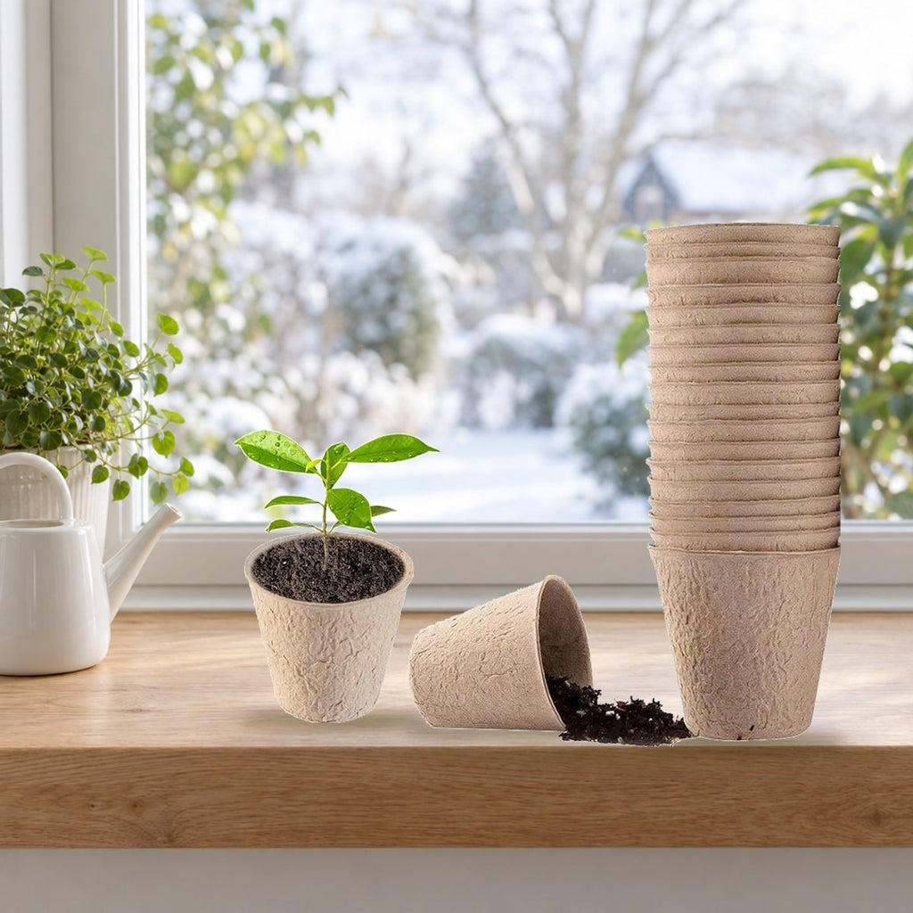 Plantepotter af papirmasse i en vindueskarm, én med en lille plante