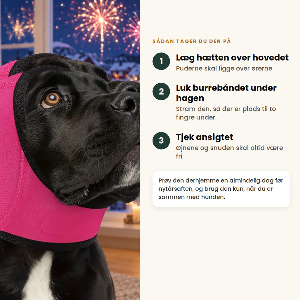 Sådan tager du Hetta på: læg den over hovedet, luk burrebåndet under hagen, og tjek, at øjnene og snuden er fri