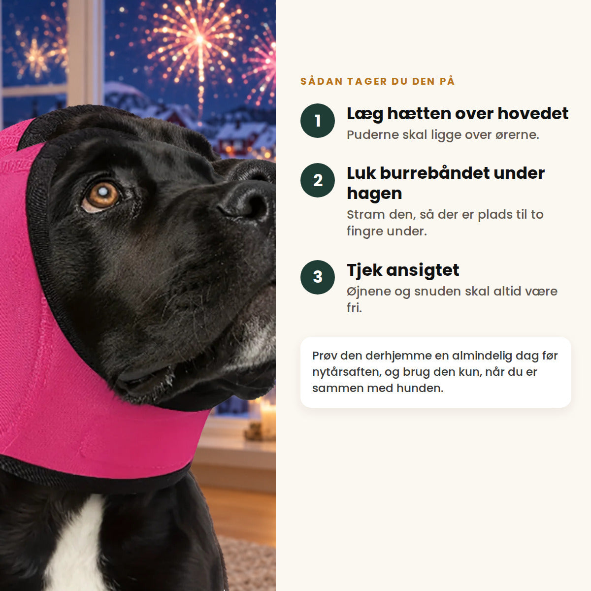 Sådan tager du Hetta på: læg den over hovedet, luk burrebåndet under hagen, og tjek, at øjnene og snuden er fri