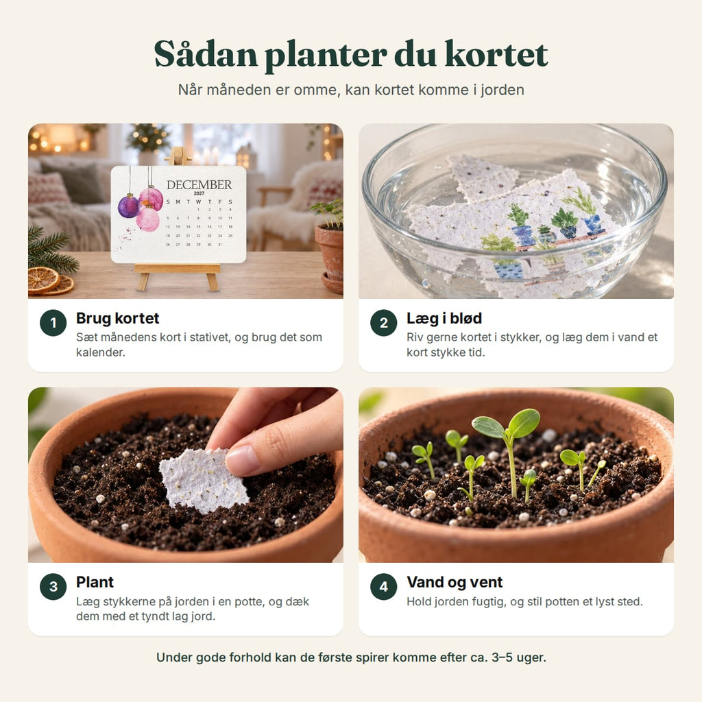 Sådan planter du kortene fra frøkalenderen, trin for trin