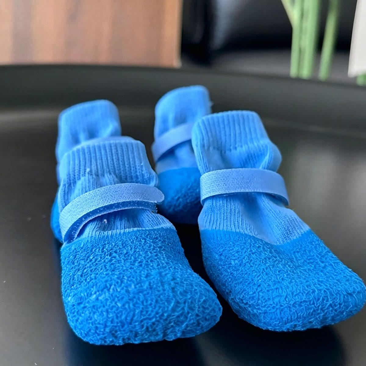 Fire blå hundesokker med gummisål og velcro på et mørkt bord