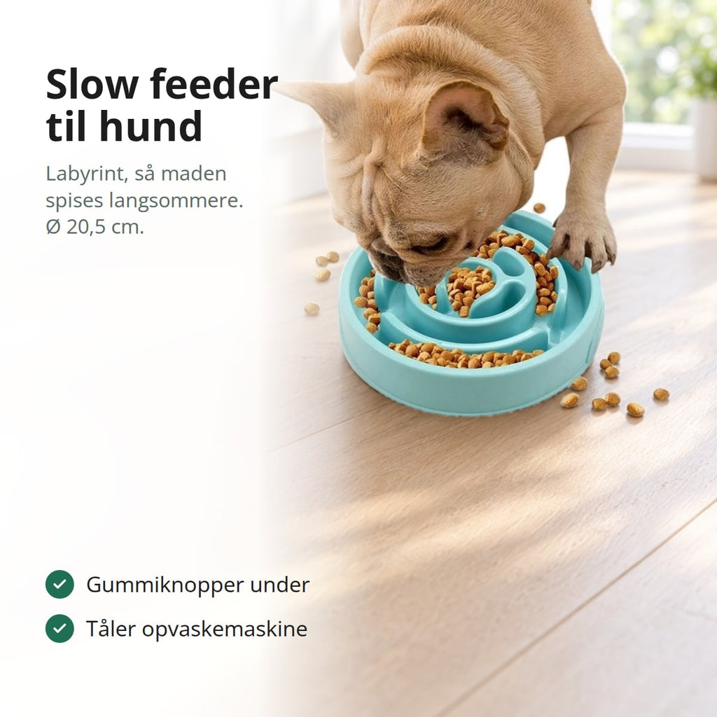 Fransk bulldog, der spiser af en turkis slow feeder, med tekst: gummiknopper under, tåler opvaskemaskine