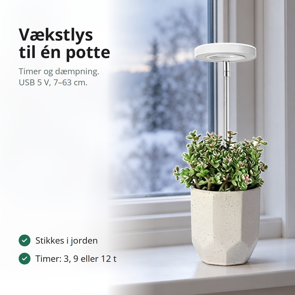Vækstlys med LED-ring over en potteplante i en vindueskarm, med teksten: stikkes i jorden, timer på 3, 9 eller 12 timer