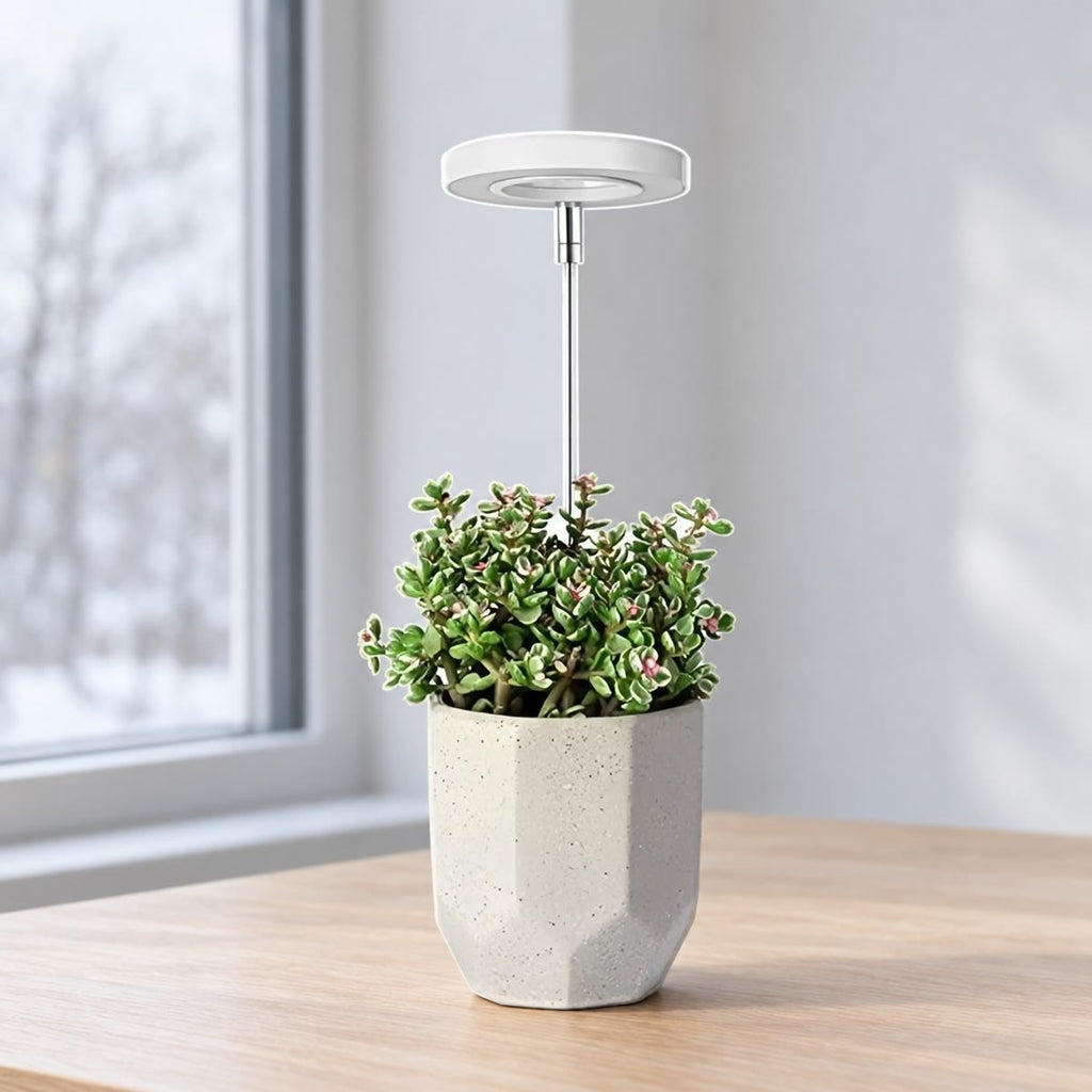 Vækstlys med teleskopstang i en potteplante på et skrivebord ved et vindue